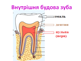 0501t081-e88a-340x255.png