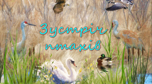Виховна година на тему «Зустріч птахів»