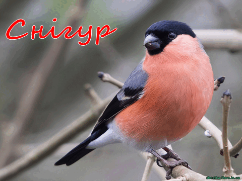 0501t0o2-ba89-480x360.png