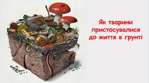 Презентація на тему "Як тварини пристосувалися до життя в грунті" 6 клас НУШ