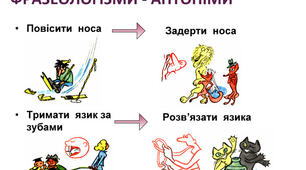 Багатозначність, синонімія та антонімія фразеологізмів