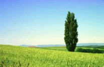 0501t3x0-4e82-207x133.png