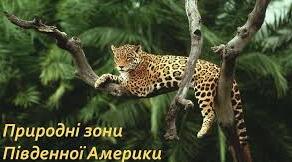  Природні зони Південної Америки.