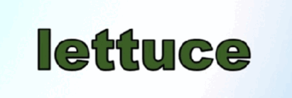 0501t5jn-2200-411x138.png