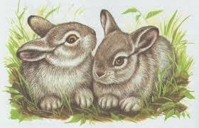 0501t5p6-e229-280x180.jpg