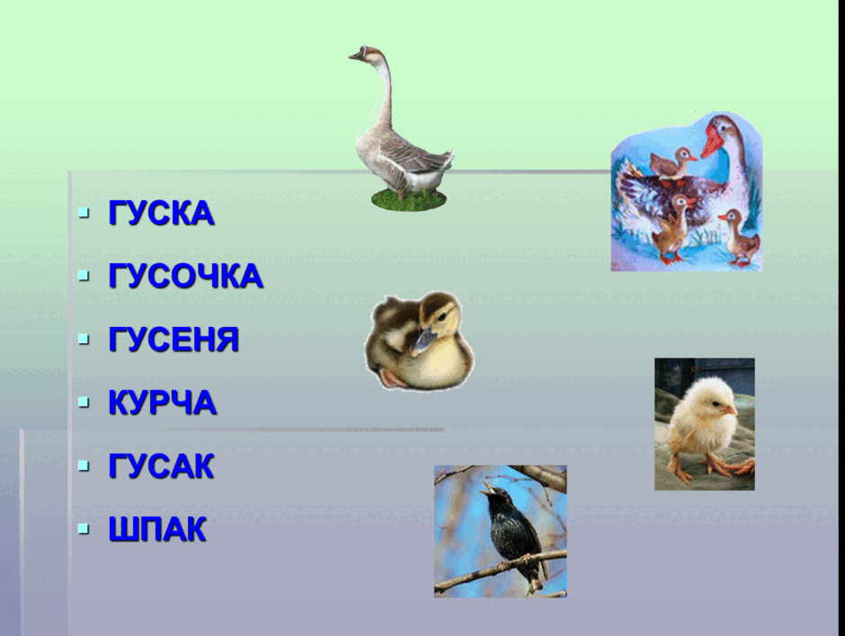 0501t6f8-a178-940x708.png