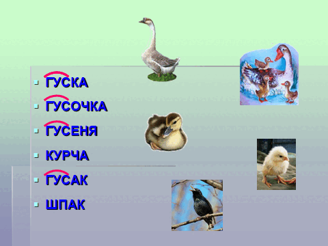 0501t6fw-f749-480x360.png