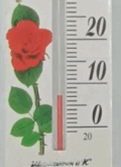 0501tai1-6fc8-121x167.png