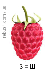 0501tcbd-dd23-180x260.png