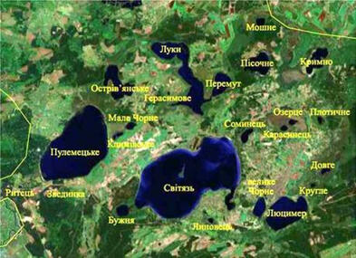 Колись вугрів у Світязі за хвости виловлювали у канавах та знаходили на городах
