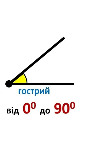 0501tdh5-a916-322x474.png