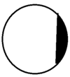 0501teix-bf06-100x109.png
