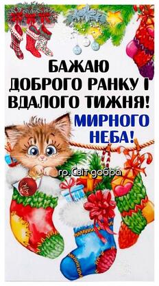 0501tekz-4503-232x416.jpg