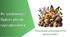 Тест з уроку Пізнаємо природу для 5 класу на тему «Які особливості будови різних груп організмів»