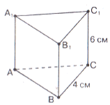 0501tgcp-9782-169x162.png