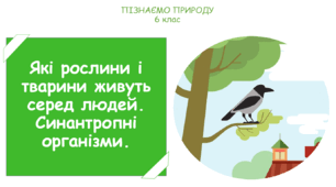 Презентація на тему "Які рослини і тварини живуть серед людей. Синантропні організми."