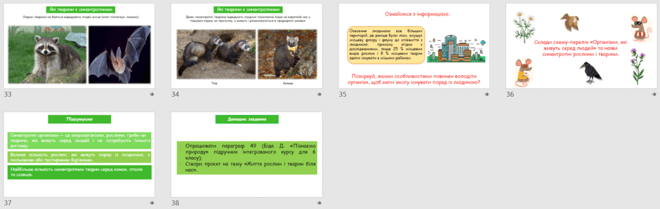 0501tgf5-3004-940x298.png