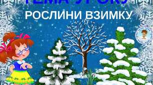 Як почуваються рослини взимку