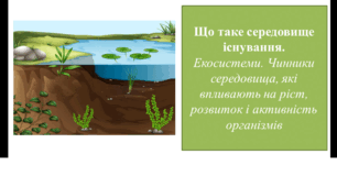 Презентація для 6 класу на тему " Що таке середовище існування.  Екосистеми. Чинники середовища, які впливають на ріст, розвиток і активність організмів"