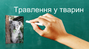 Біологія тварин. Презентація уроку "Травлення у тварин".