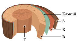 0501tk4b-f710-258x139.png