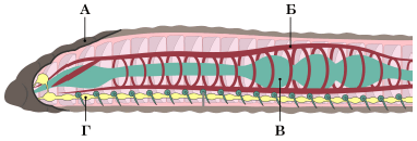 0501tk5h-c324-382x130.png