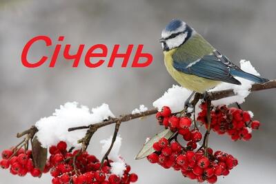 Хвали січень сніговий: про походження назви місяця, святкування Нового року в вересні та народний прогностик | Свіжі новини Хмільника сьогодні