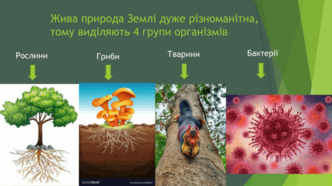 0501tlsx-1064-480x270.png