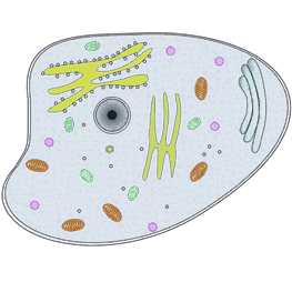 0501tlti-bbfb-263x263.png