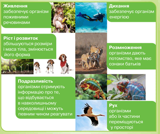 0501tltw-a7aa-325x271.png