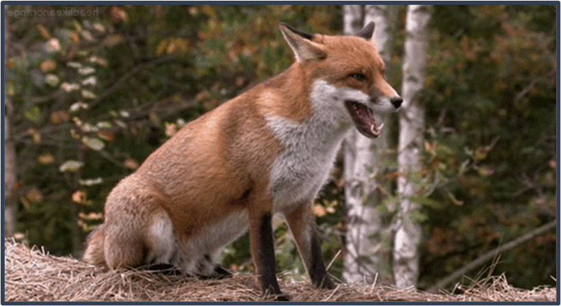 0501tlx8-ee52-820x448.png