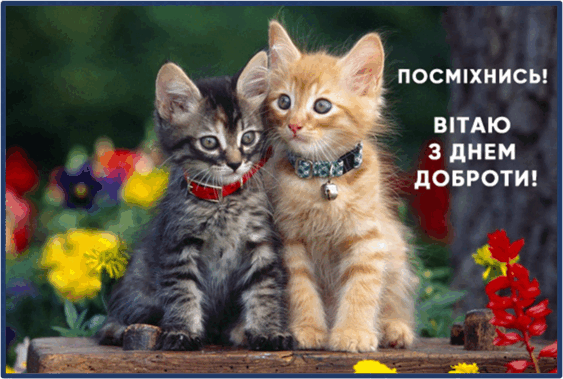 0501tlyg-2e43-563x379.png