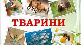 Конспект уроку . Узагальнення з теми "Тварини"