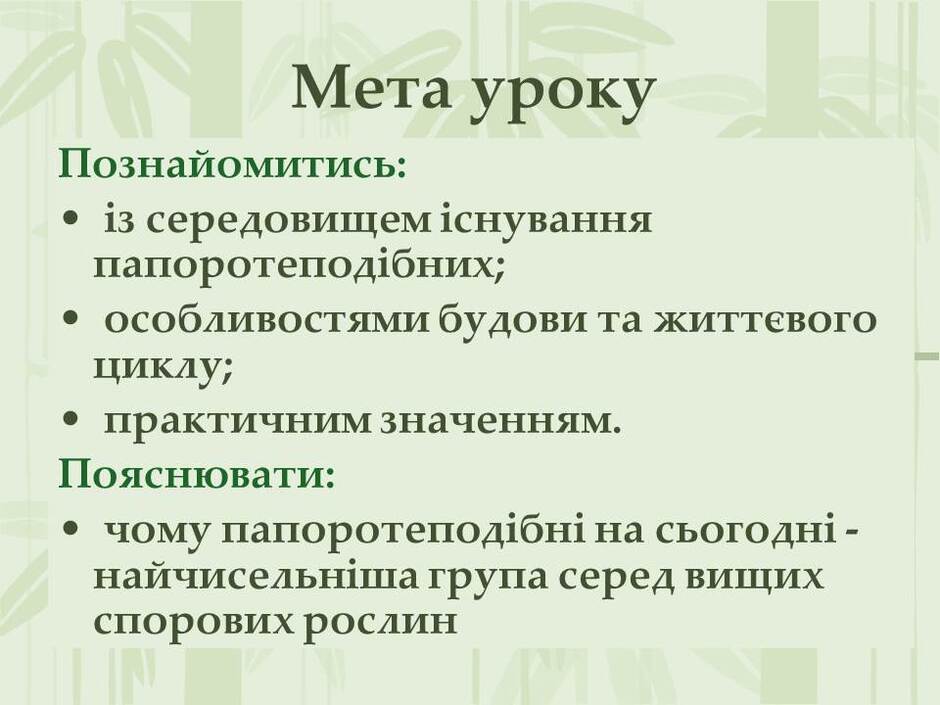 0501tm9p-80b1-940x705.jpg