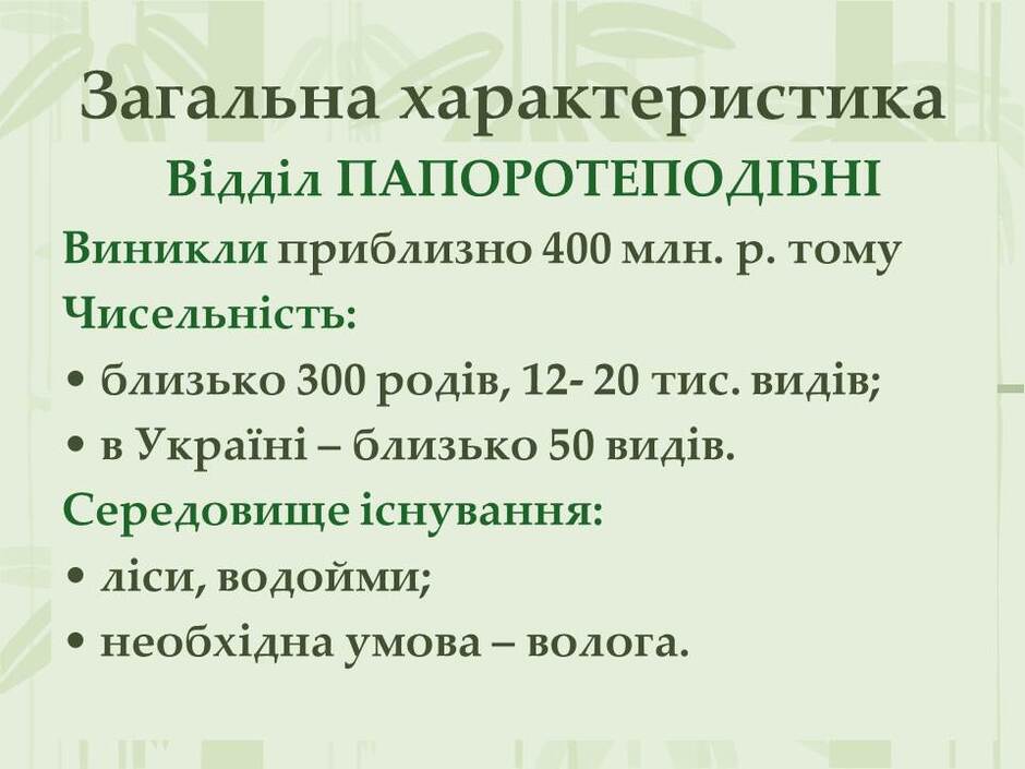 0501tm9r-377a-940x705.jpg