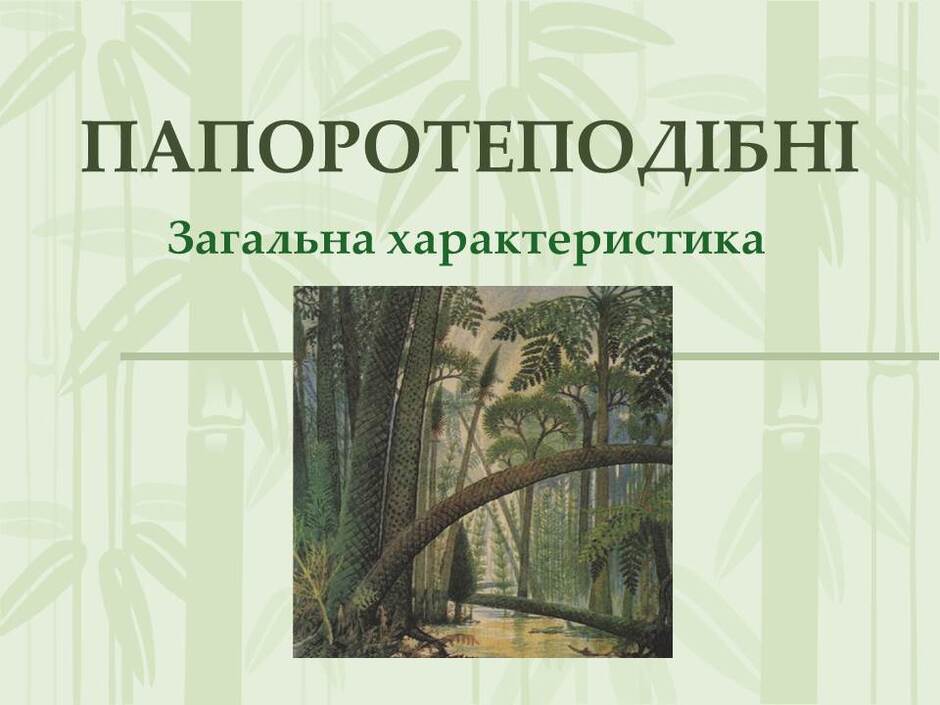 0501tm9s-046a-940x705.jpg