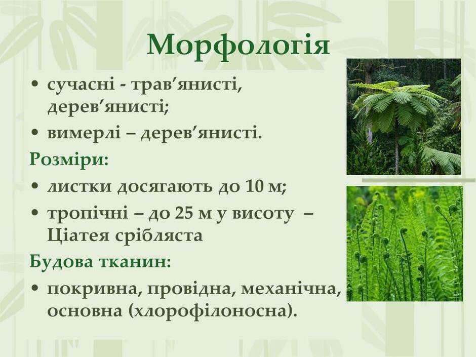 0501tm9u-3d56-940x705.jpg
