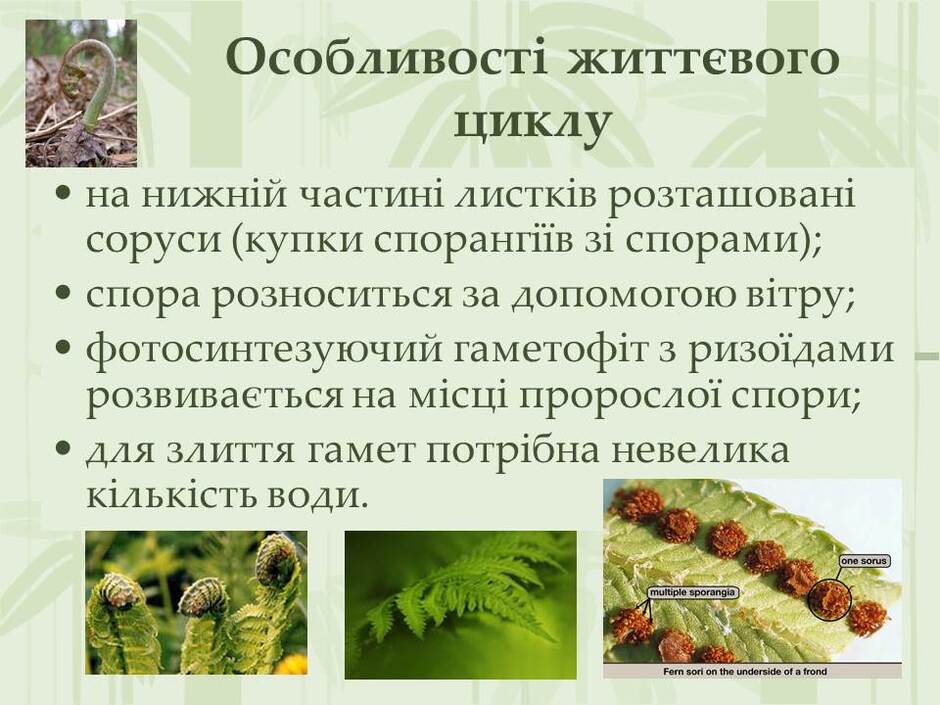 0501tm9v-a25d-940x705.jpg