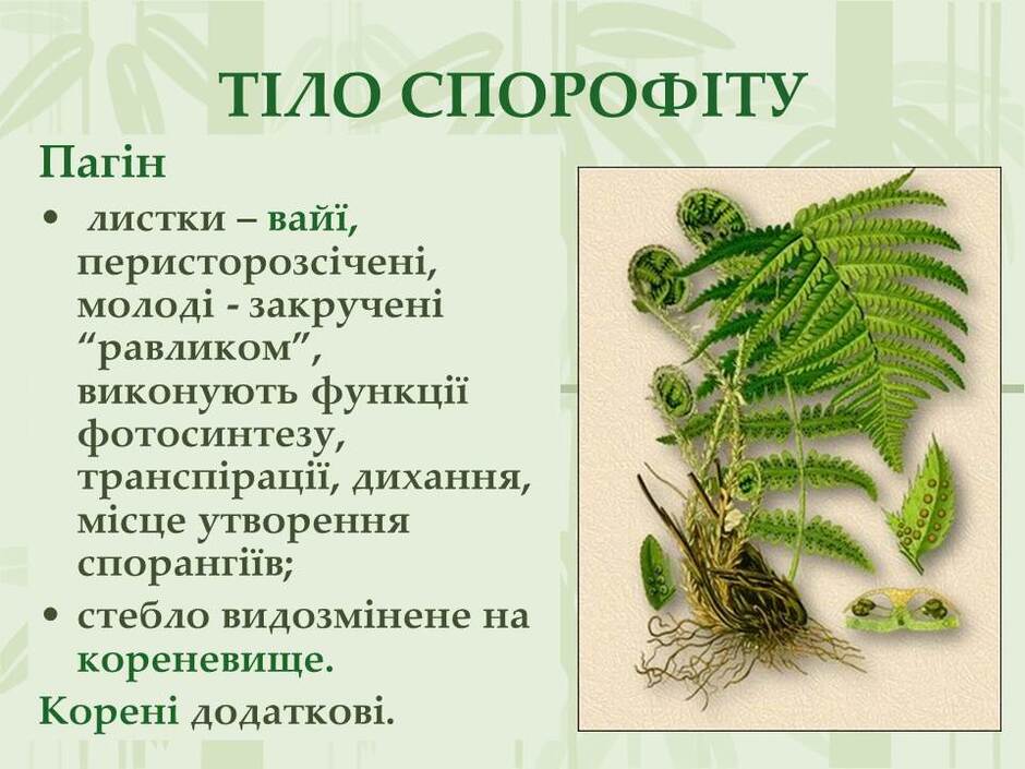 0501tm9w-6506-940x705.jpg