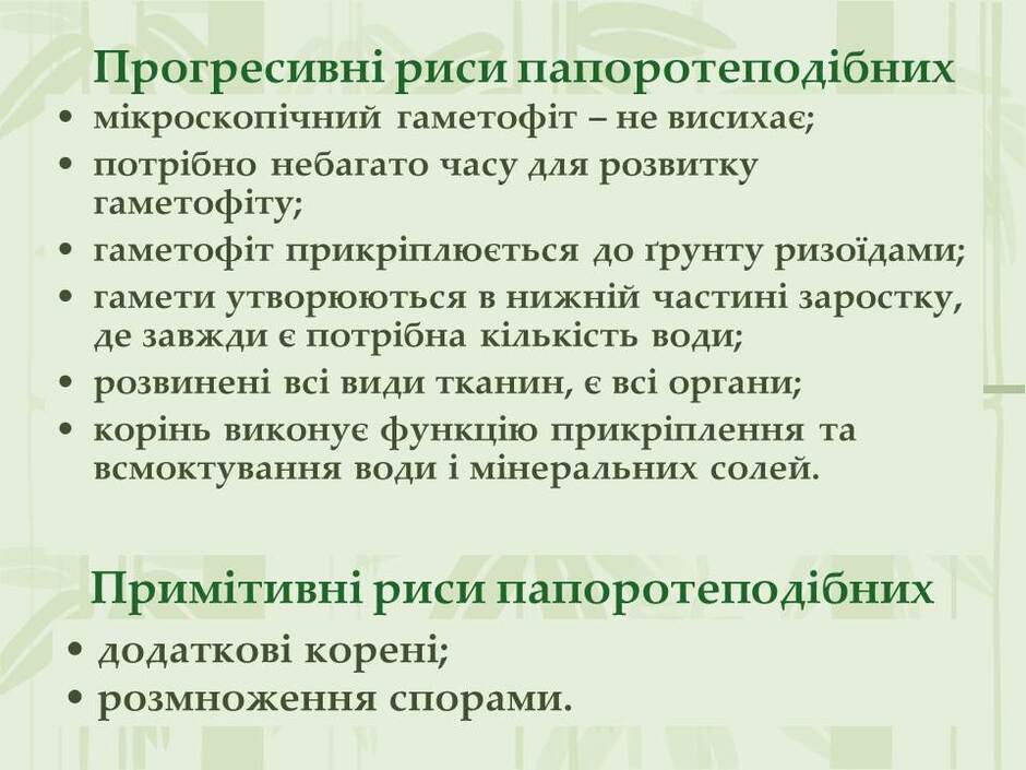 0501tm9x-5c5e-940x705.jpg