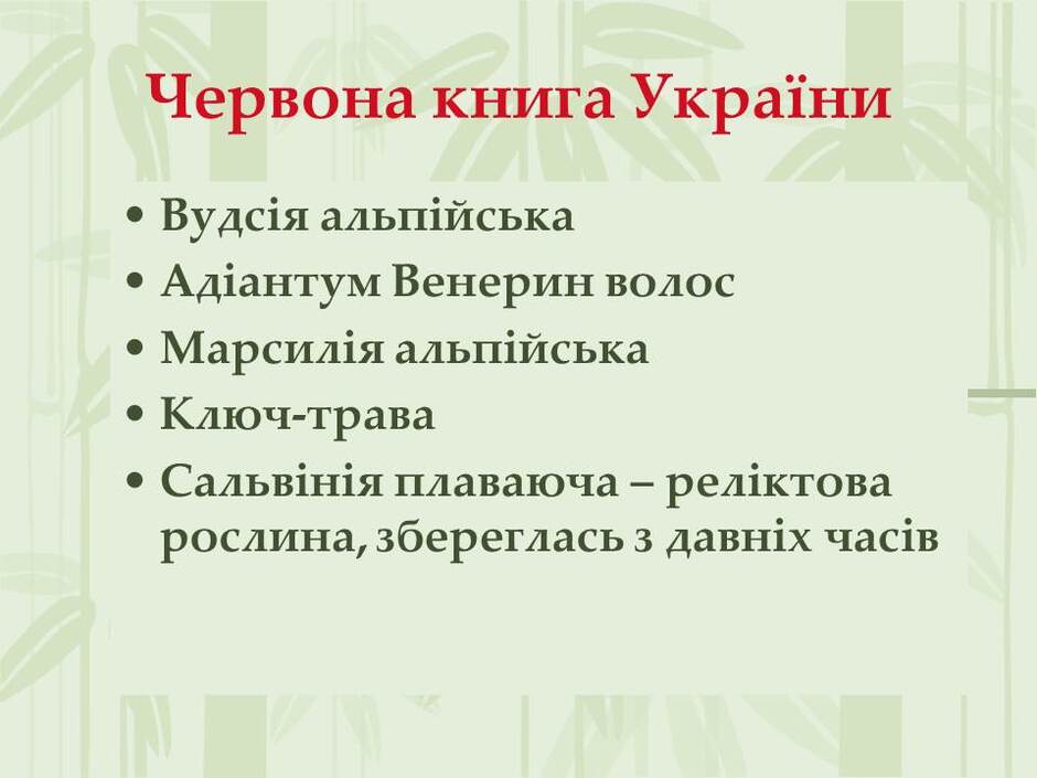 0501tm9y-458b-940x705.jpg