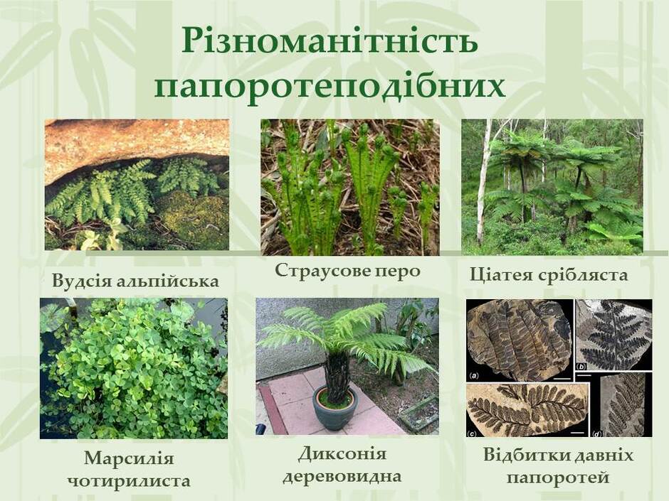 0501tma0-7600-940x705.jpg