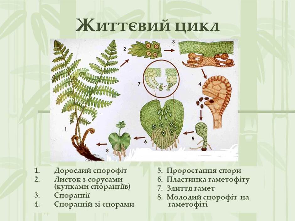 0501tmde-c6e1-940x705.jpg