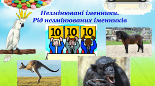 Незмінювані іменники.  Рід незмінюваних іменників