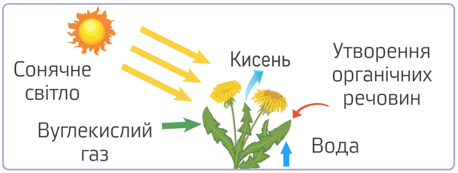 0501tmyy-d76d-940x356.png