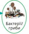 0501tnfq-b134-99x114.png