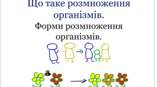 НУШ 6 клас. Пізнаємо природу. Презентація уроку "Що таке розмноження організмів. Форми розмноження."