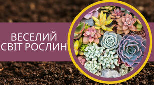 Презентація на тему "Веселий світ рослин"