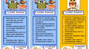 "Сови знань" - прийом для рефлексії (працюємо в парі за кольором картки)