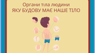 Людина та її здоров’я. Організм людини Яку будову має наше тіло.